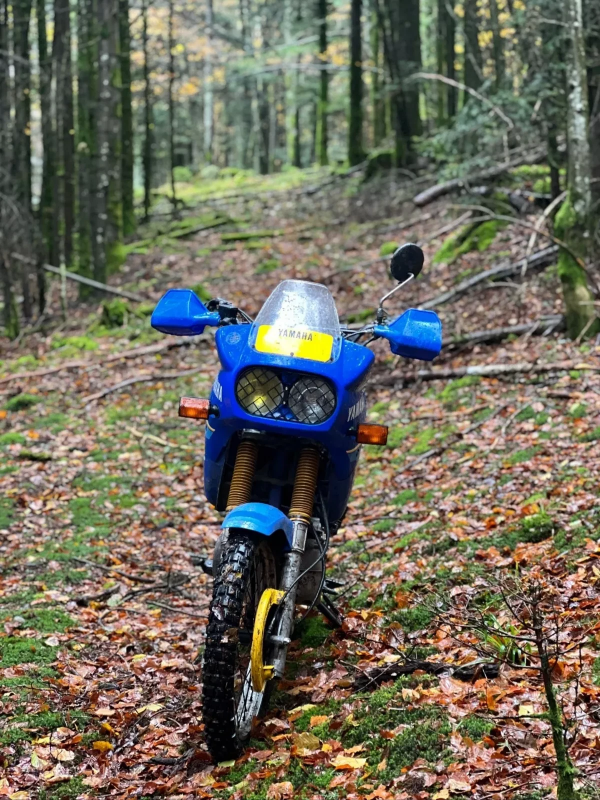 s-l1600 - 2025-10-04T162145.434